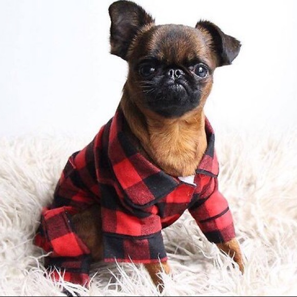 fabdog Other - NWT Buffalo Check Dog Pajamas